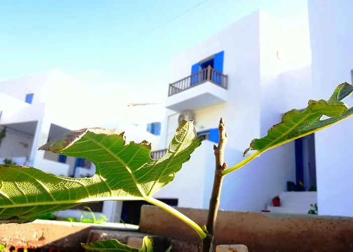 Hébergement de vacances Larinaki's No3